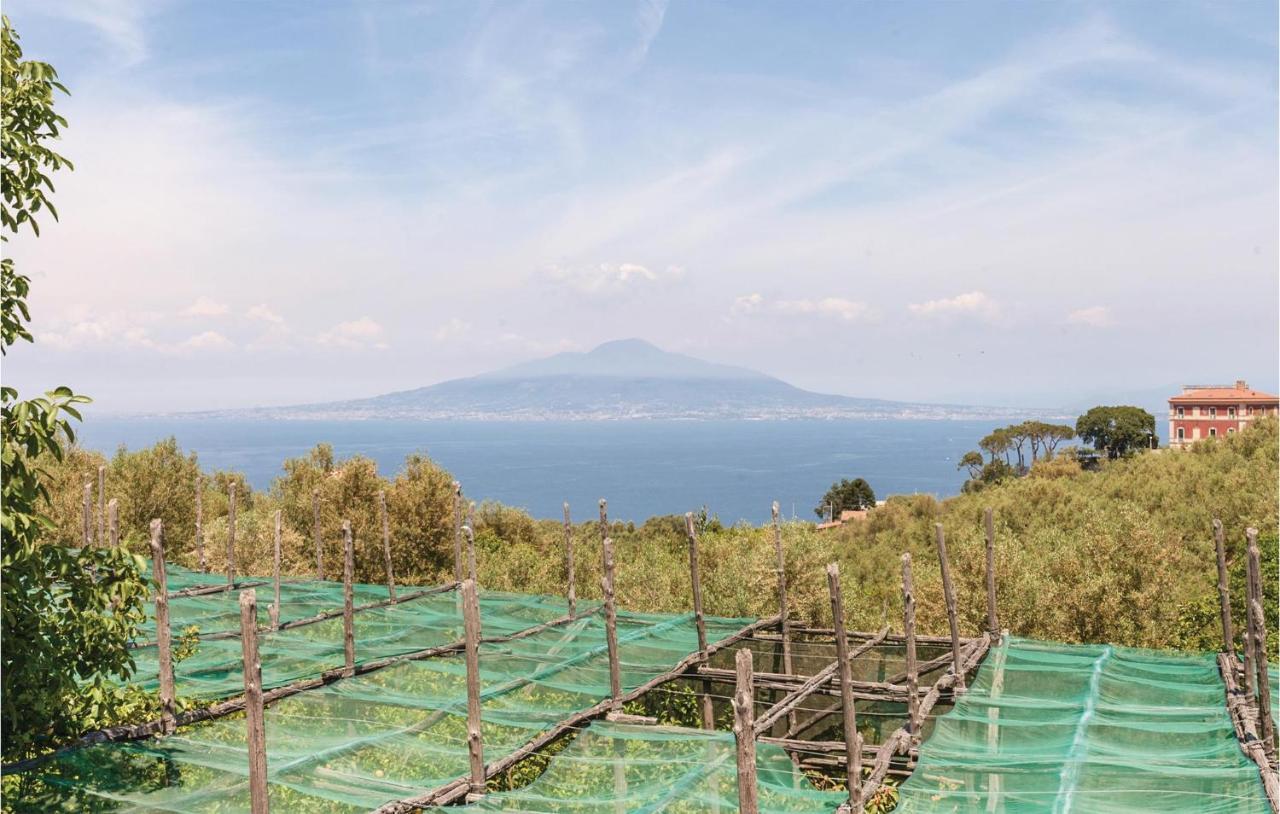 Villa La Limonaia Sorrento Bagian luar foto